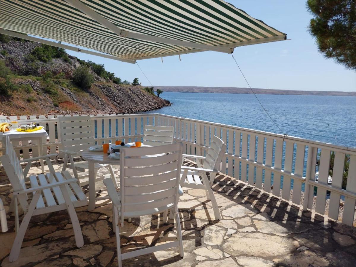 Galeb
