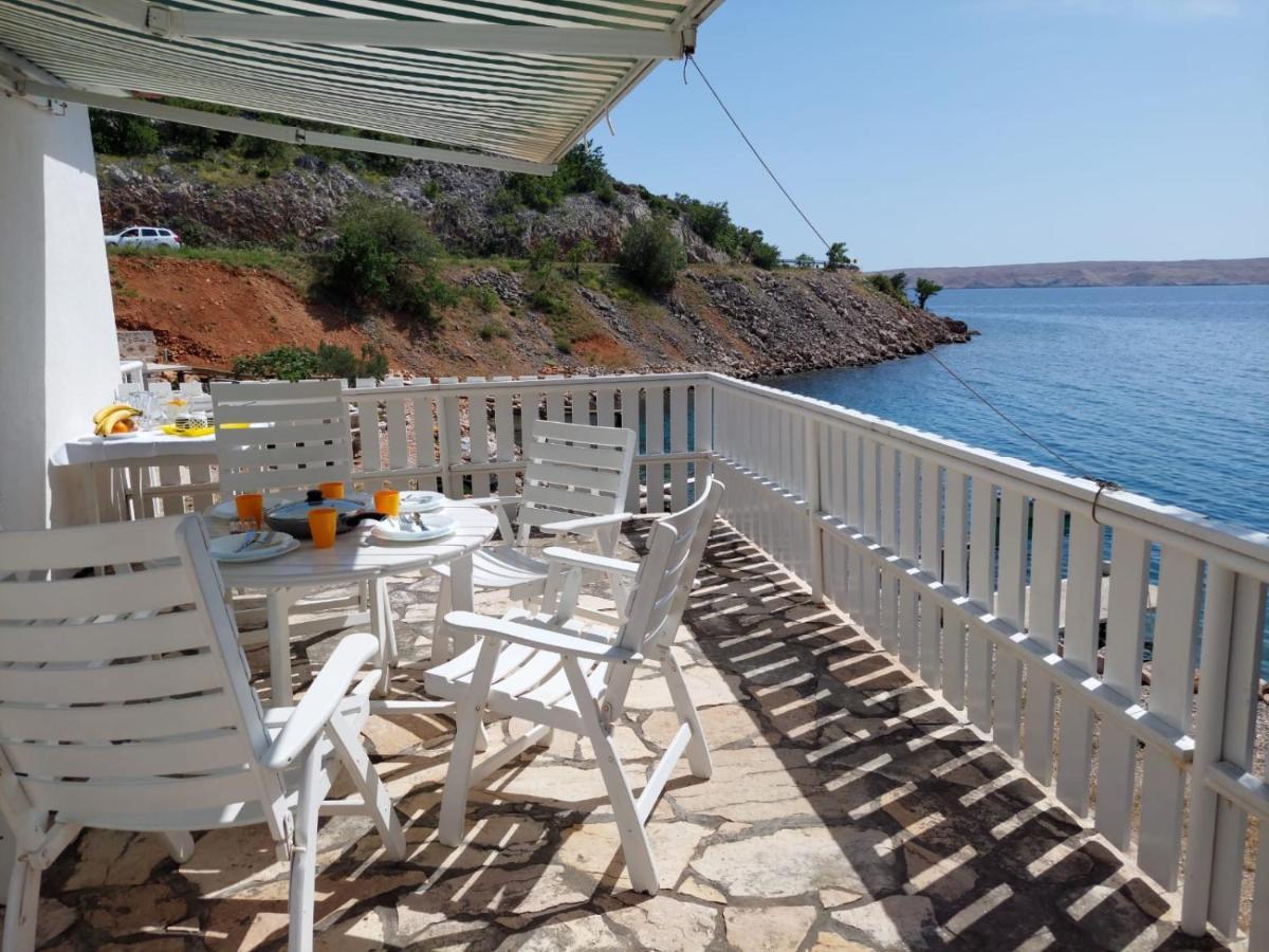Galeb