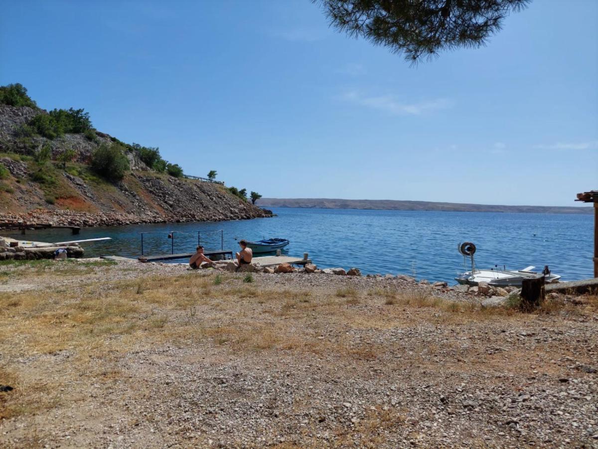 Apartment Galeb