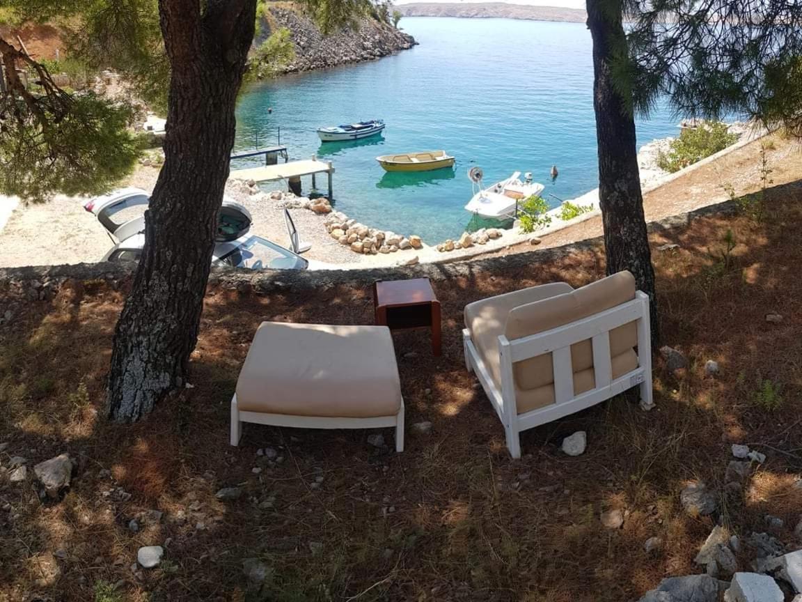 Apartment Galeb *
