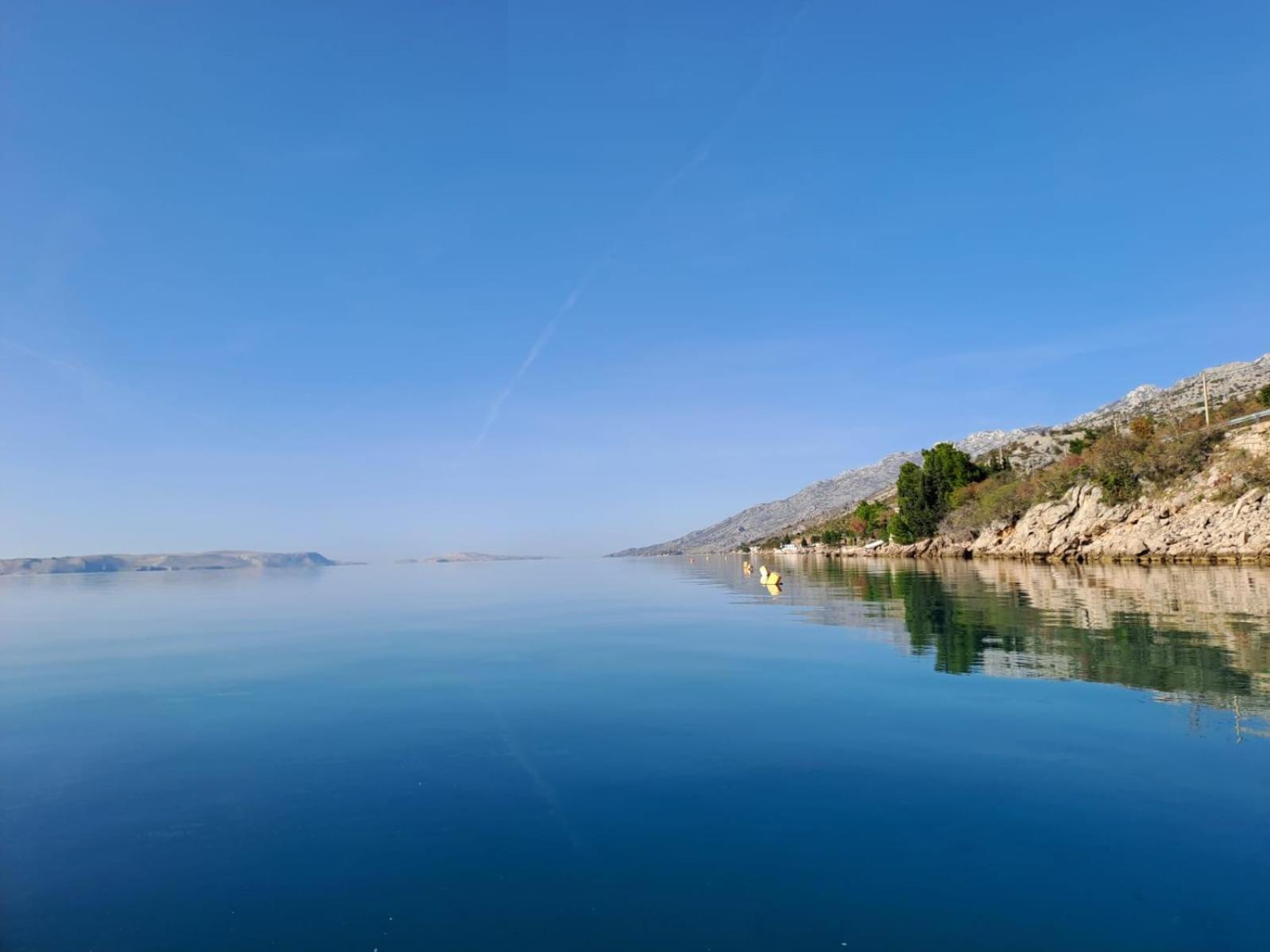 Galeb *