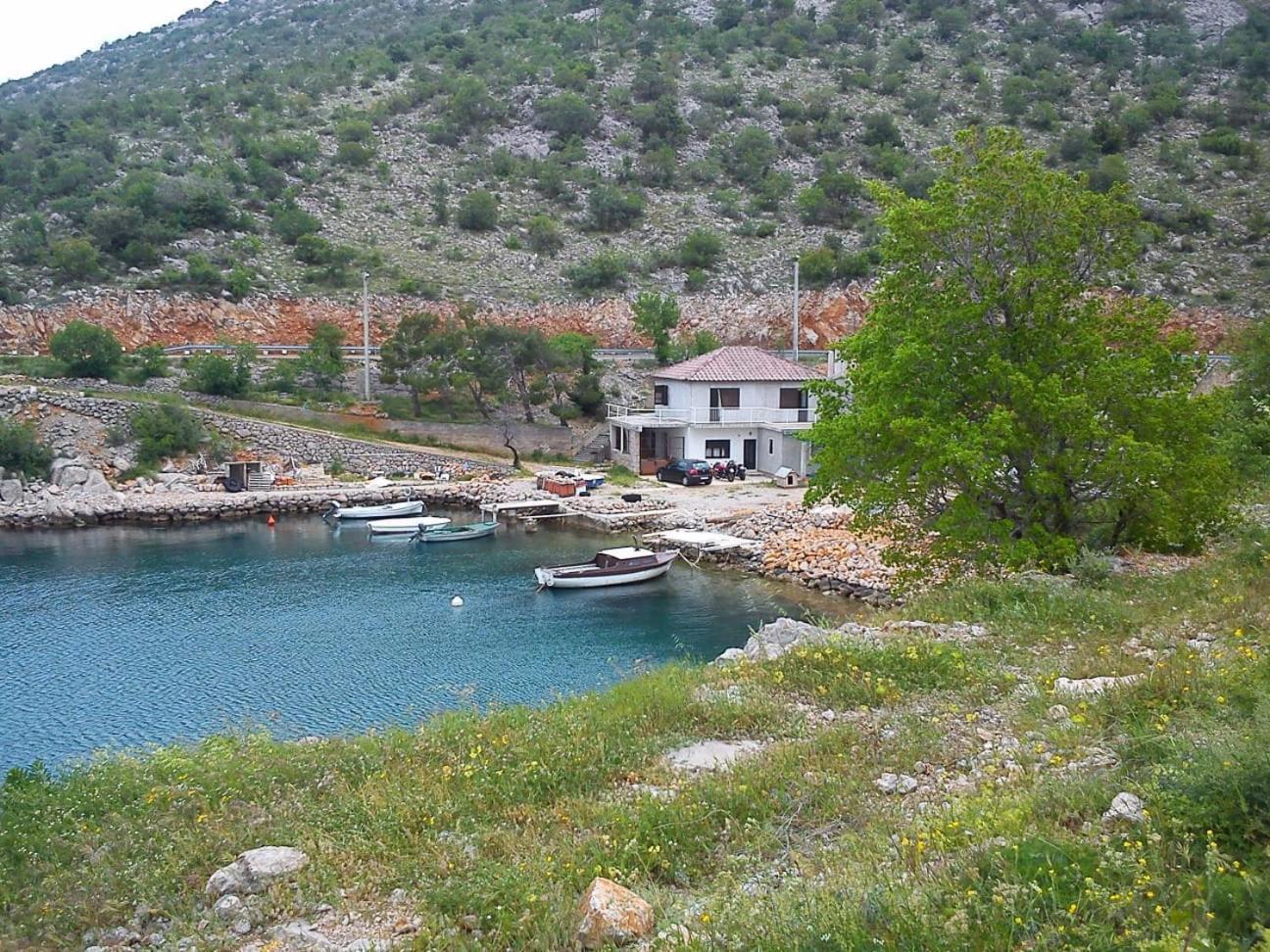 Galeb Apartment
